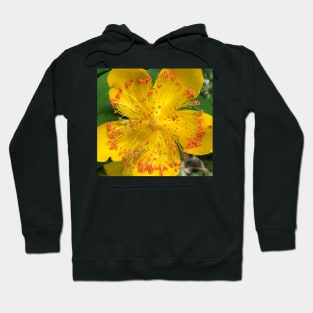 Yellow Radiance Hoodie